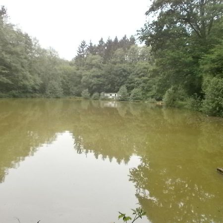 Gite Le Sous-Bois Cerfontaine Dış mekan fotoğraf