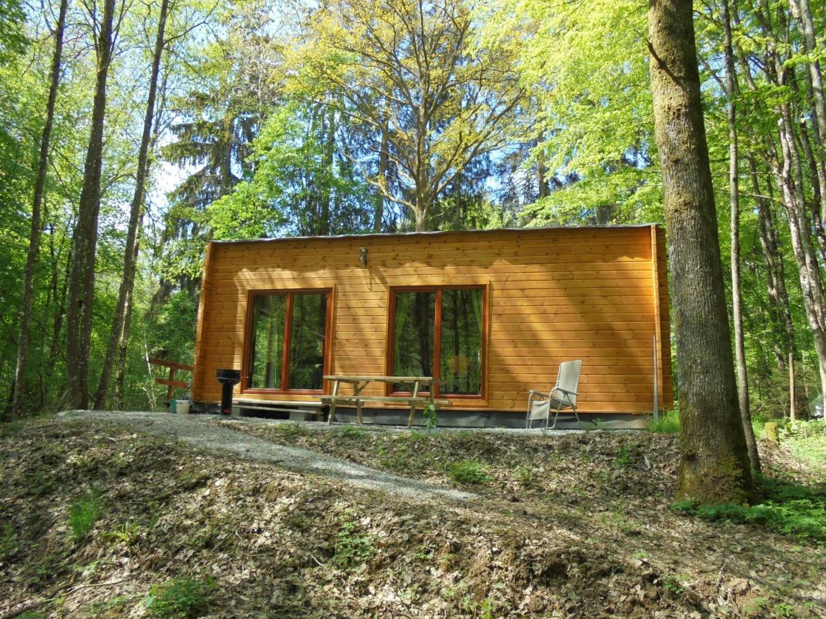 Gite Le Sous-Bois Cerfontaine Dış mekan fotoğraf